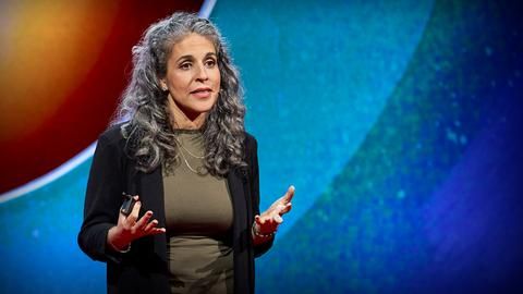 A fresh approach to resolving conflicts | Darya Shaikh