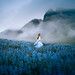Misty Mountains of Midsummer