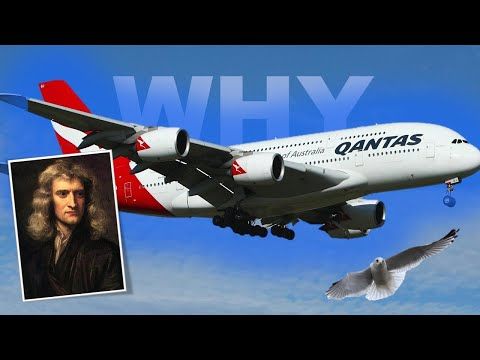 Why Airplane Flies Like A Bird? The Physics of Aviation