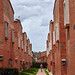 IMG_20251005_110124